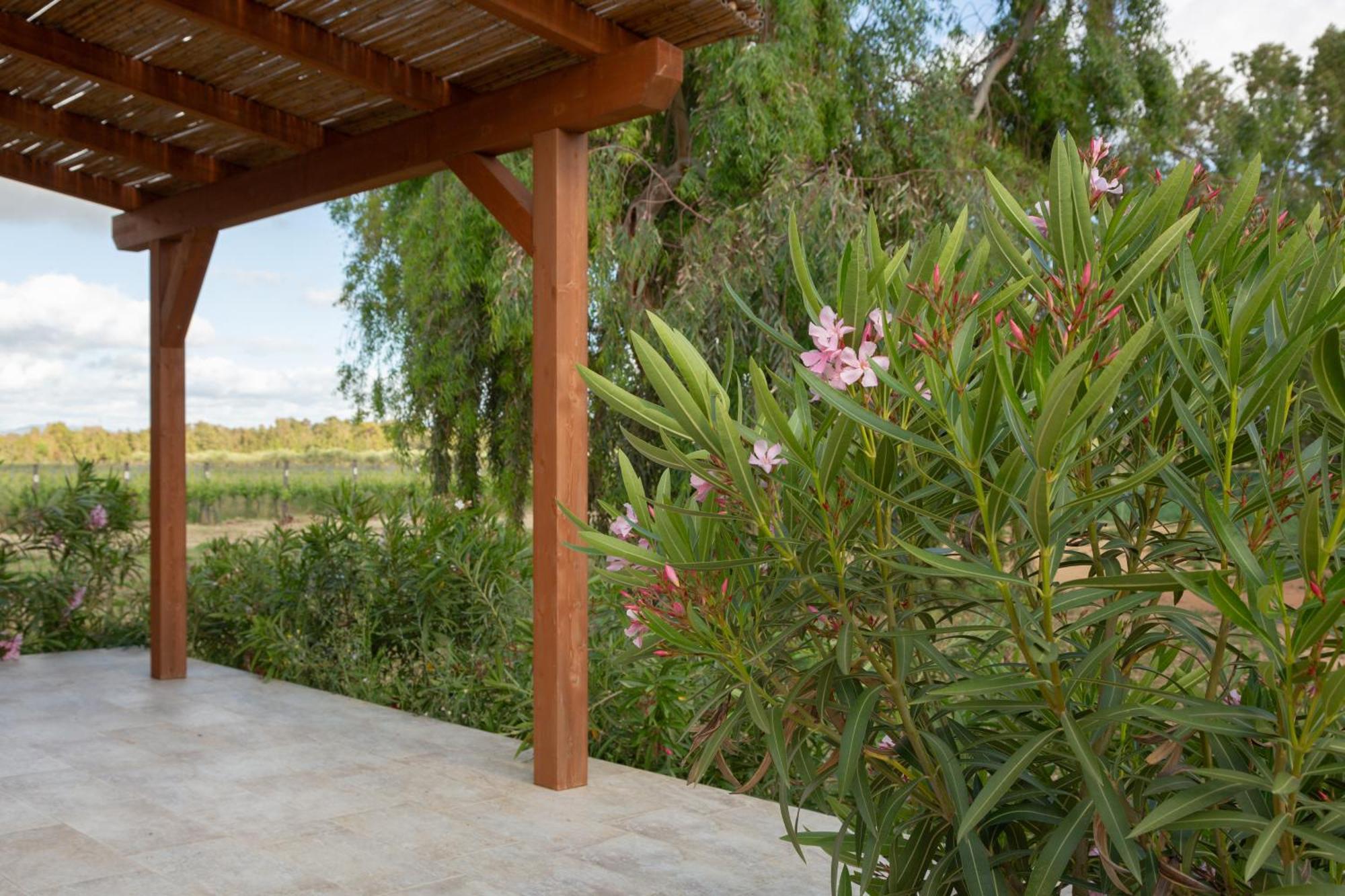 Maris Suite - Appartamento Con Vasca Idromassaggio Alguer Exterior foto