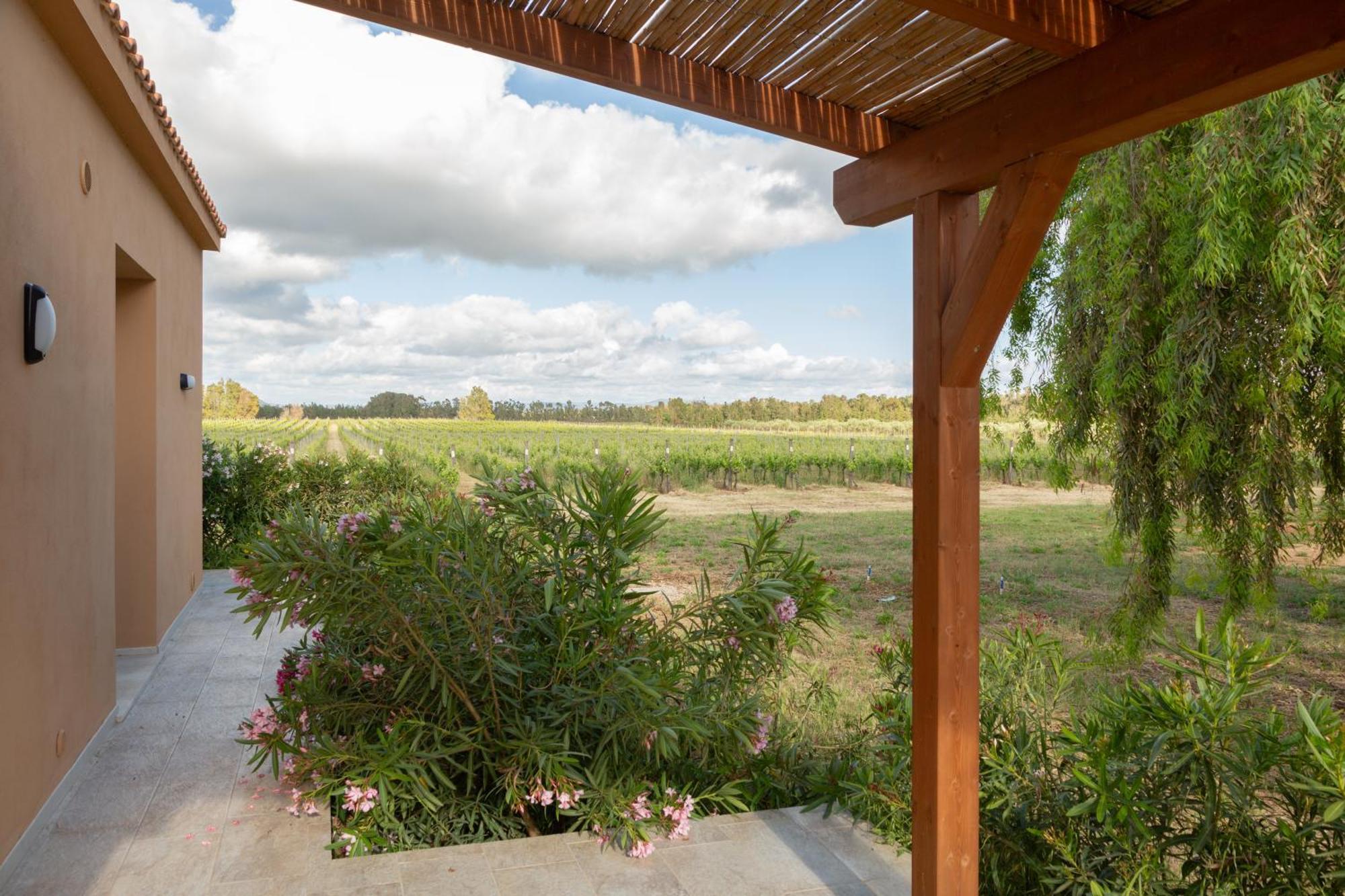 Maris Suite - Appartamento Con Vasca Idromassaggio Alguer Exterior foto
